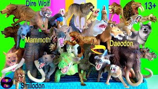 ใหม่ Dire Wolf, Wolf, Wolves Mammoth Smilodon สัตว์เลี้ยงลูกด้วยนมยุคก่อนประวัติศาสตร์ Megafauna 13+