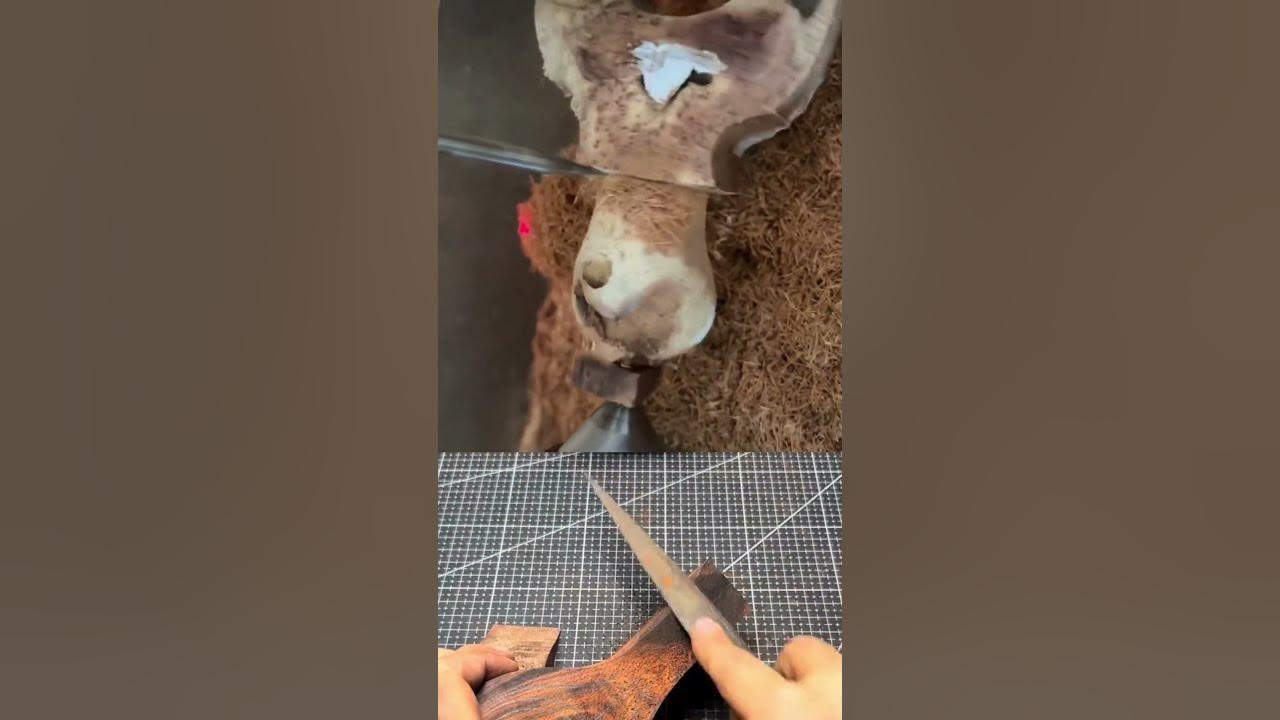 This is not a competition (unless it is) | Slingshot made from scratch | Resortera hecha desde cero This is not a competition (unless it is) | Slingshot made from scratch | Resortera hecha desde cero