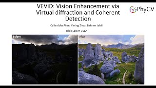 VEViD: Introduction