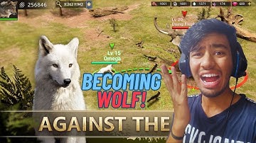 BECOME A WOLF ? Wolf Game The Wild Kingdom
