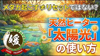 メダカを起こす＝リセットではない?天然ヒーター「太陽光」の使い方