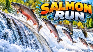 🐟 Incredible Salmon Run! Watch Them Fight Their Way Upstream & Jump the Dam!