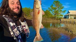 These redfish are in bass waters! (Inshore slam! Redfish, Speckled trout, and flounder!)