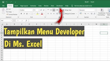 Cara Menampilkan Menu Developer Di Microsoft Excel