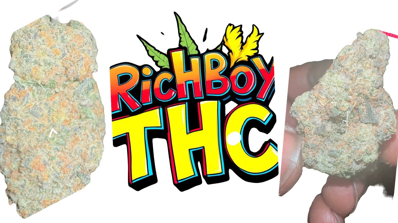 Rolling up a 3 g blunt with your boy E money blowing it down green out ￼