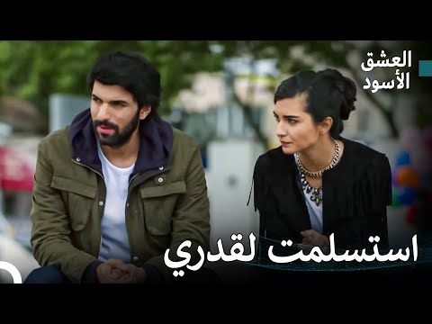 هذه هي رحلتي للأموال السوداء 19 العشق الأسود 