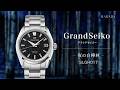 SLGH017 Grand Seiko グランドセイコー 9Sメカニカル 夜の白樺林