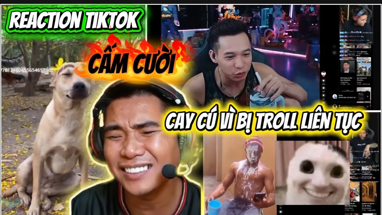 BÁC GẤU REACTION TIKTOK BỊ TROLL LIÊN TỤC CỰC BỰA.