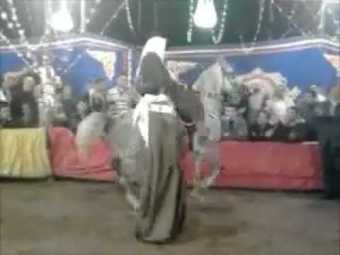 رقص الخيل حفلة مولد النبى الحصان صياح