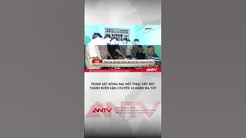 Trinh sát Đồng Nai mật phục vây bắt thanh niên vận chuyển 16 bánh ma túy | ANTV #shorts