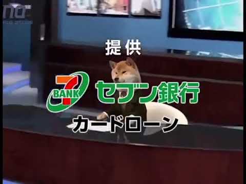 Shiba Inu Videos To The Intro Of This Charming Man By The