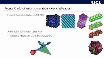 ISMRM MR Academy - Numerical Phantoms