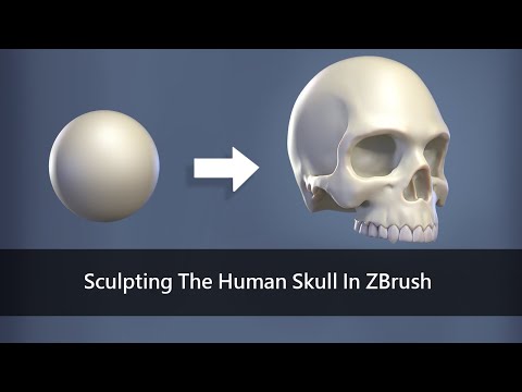 skull in zbrush tutorial