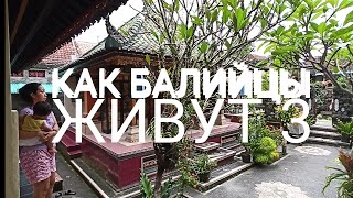 КАК БАЛИЙЦЫ ЖИВУТ. Убуд, Бали, Индонезия