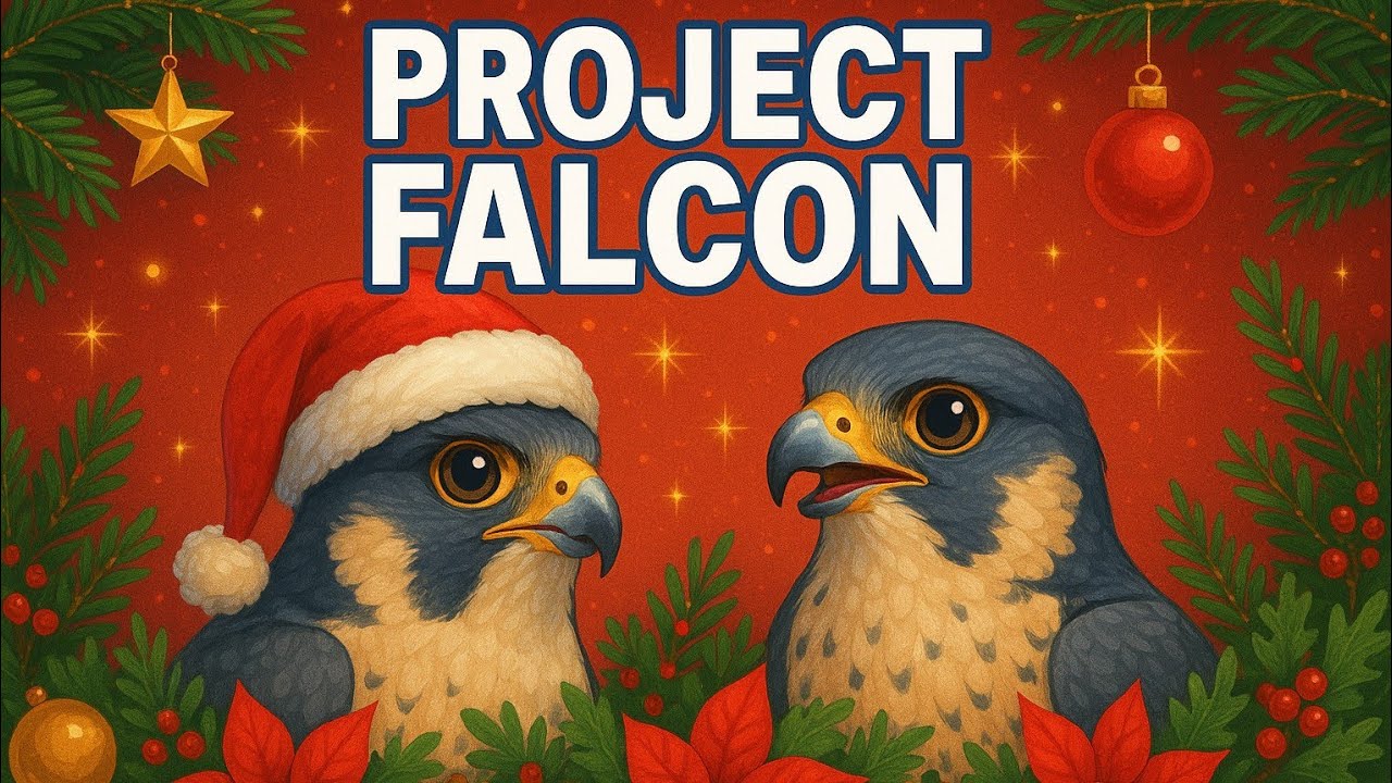 Project Falcon - O Holy Night (A Tribute to Christmas)