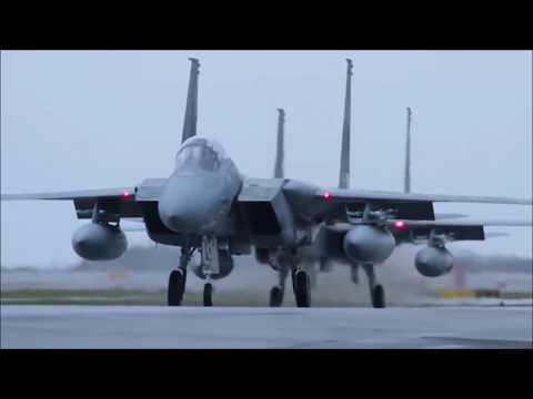航空自衛隊MAD「サイケデリック鬼桜同盟」