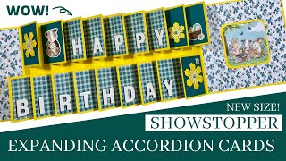 Fantastic NEW SIZE Expanding Accordion Cards