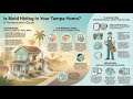 What Are The Signs I Need A Mold Inspection In My Tampa Home?