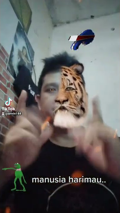 wonk sintink jadi manusia harimau