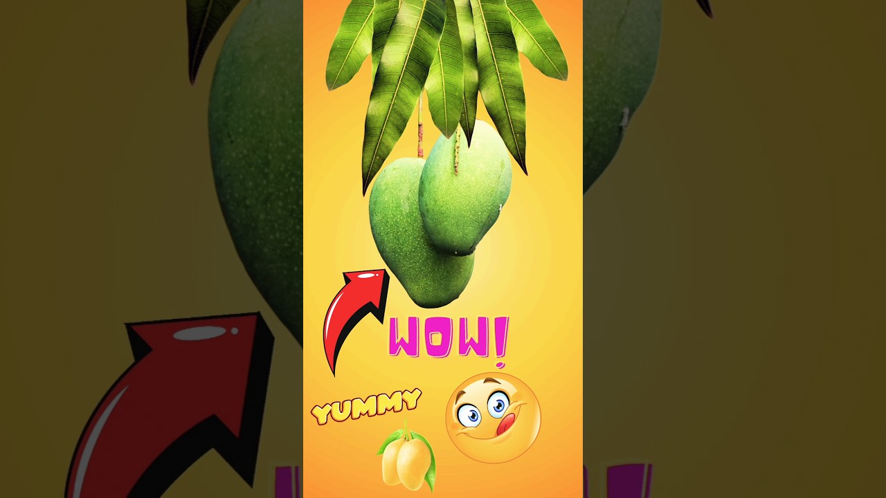 Amazing and Interesting Mango 