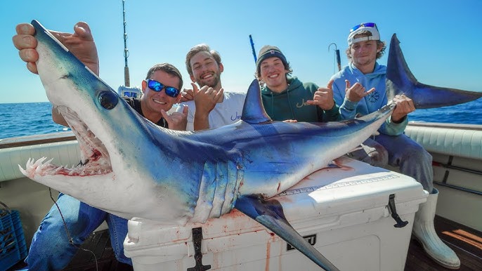 Revenge on Giant Bullshark! #fishing #catchandcook #shark 