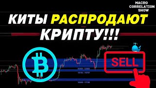 КИТЫ ПРОДАЮТ СВОЮ КРИПТУ!!! ПРЕДУПРЕЖДЕНИЕ #ДЕНЬГИБиткоинИнвестор