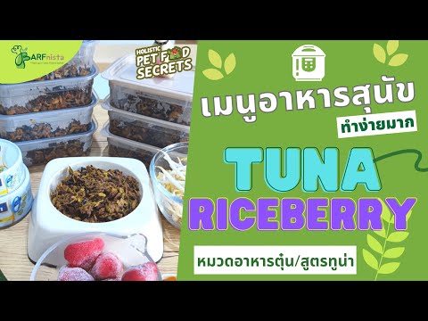 อาหารสุนัขเมนูตุ๋น สูตรทูน่า "Tuna Riceberry" อร่อยหอมหวล | BARFnista by หมอเป็ด