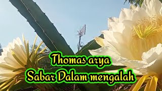 Download Lagu Thomas Arya Sabar Dalam Mengalah MP3 Download Lagu Thomas Arya Sabar Dalam Mengalah MP3