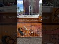 Vividores. www. es – street art short, Francisco de Pájaro, street art video Barna