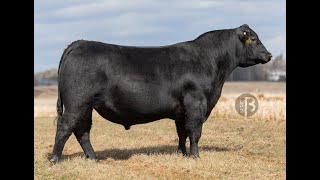 0200AN10789 MOGCK ENTHRALL 340