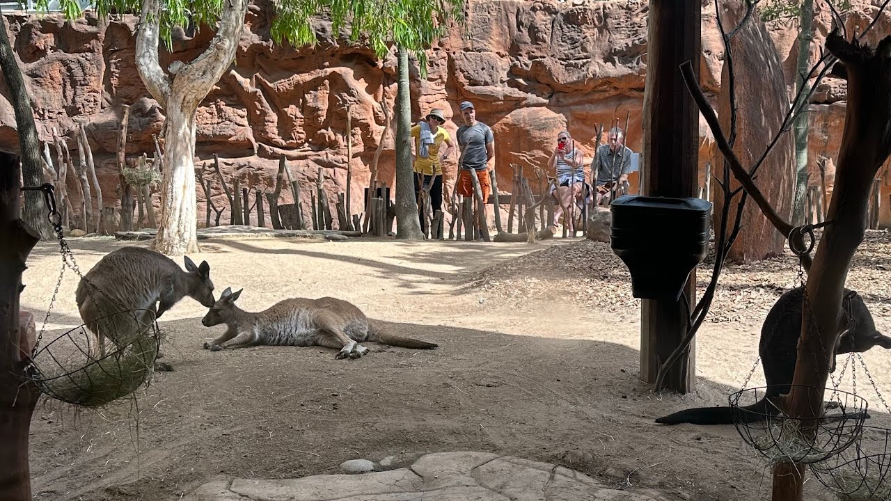 初音ミクの激唱（裏） でたらめ全良 - YouTube