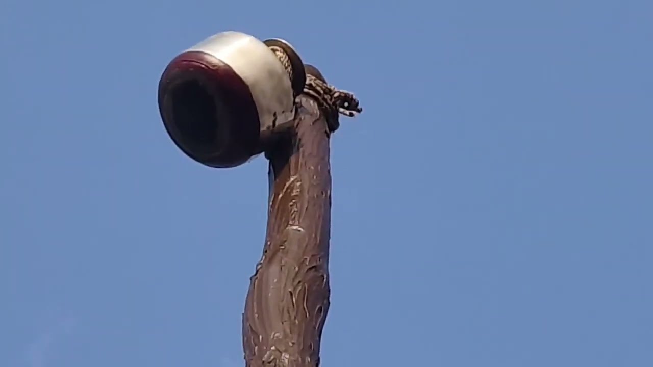 Hijla Mela 2026 में पारंपरिक खेल “घड़ा उतारना” की शानदार झलक।हमारी लोक संस्कृति और एकता का प्रतीक ❤️