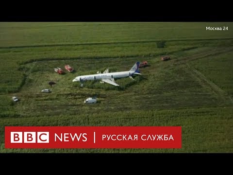 Видео с места посадки самолета А321 на кукурузное поле в Подмосковье