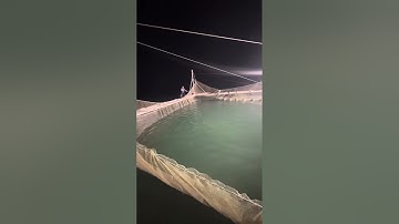 Kéo vó bắt cá bắt mực tại bè ngư dân Vân Đồn Quảng Ninh #cauca #phuongdongvandon #sonaseavandon