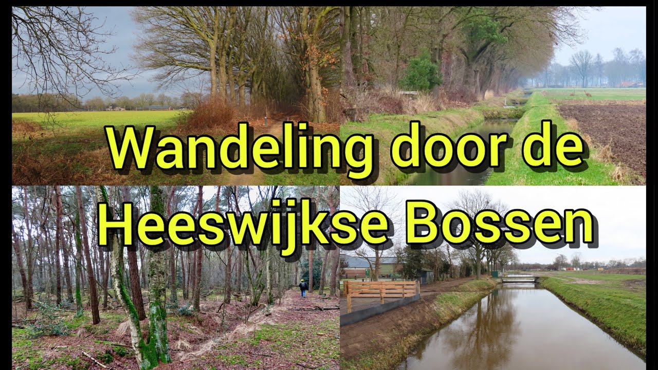 Wandeling door de Heeswijkse Bossen