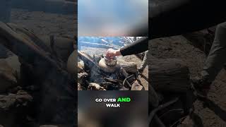 Beach Campfire Steak Cooking Gone Wrong? #shorts