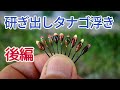 後編：アクリル絵具を使って、研ぎ出したなご浮きを作りました。タナゴ釣り。小物釣り。　　　Making Fishing Foam Floats TANAGO(Rosy bitterling)