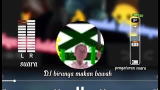 lagu DJ birunya makan bawah viral guys 🔥🔥 2021