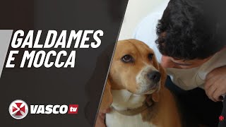 GALDAMES E SUA PET MOCCA | VASCOTV