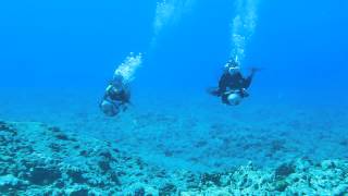 沖永良部島・水中スクーターシードリーム沖永良部）