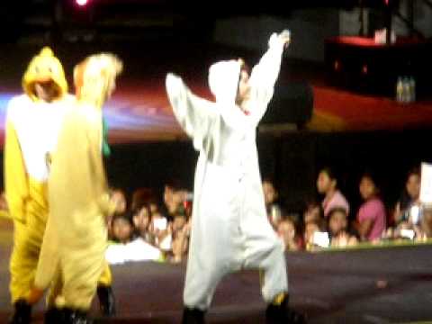 U-KISS stupid cupid fancam