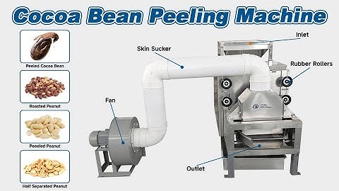500 KG/H Cacao Bean Dehuller Skin Peeling Machine|Cacao Peeler Cracker|Cocoa Bean Winnower Machine