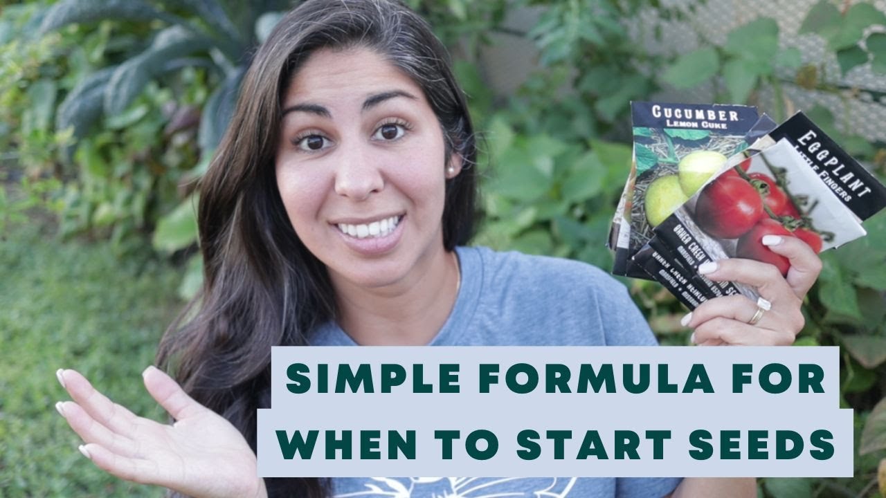 Is It Too Late to Start Seeds for the Garden? YouTube