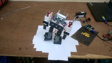Biped Robot Video