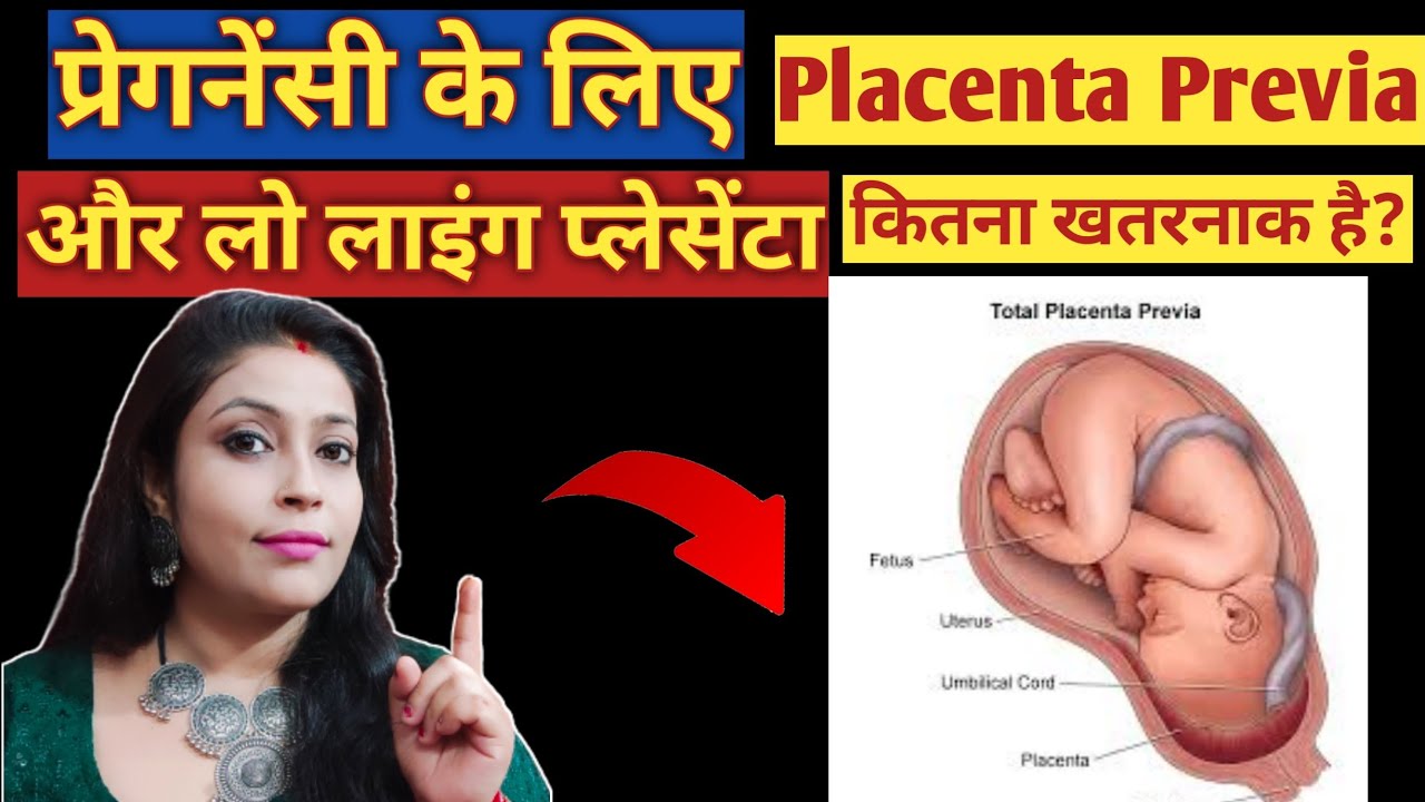 Cuál es la función de la placenta