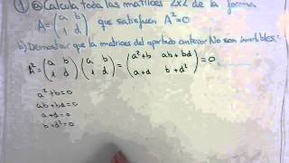 Calcula todas las matrices 2x2 tal que satisfacen A^2=0 | Y demostrar que NO son invertibles