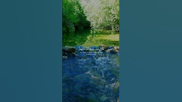إنما التوبة على الله للذين يعملون السوء بجهالة تلاوة خاشعة بصوت القارئ ياسر الدوسري#ياسر_الدوسري