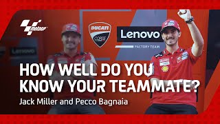 Jack Miller Vs Pecco Bagnaia  How Well Do You Know Your Teammate?