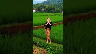 Download Lagu *PENGANGGURAN* RHOMA IRAMA. MP3 Download Lagu *PENGANGGURAN* RHOMA IRAMA. MP3