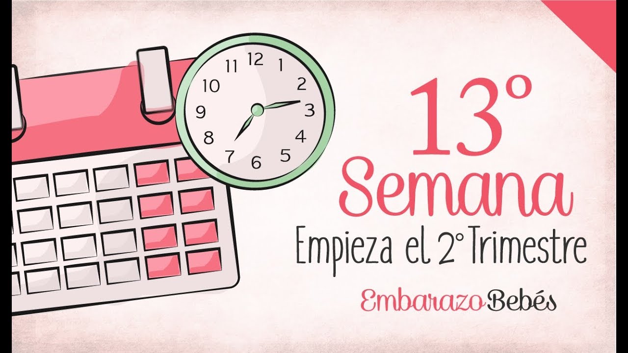 desde que fecha se empieza a contar un embarazo